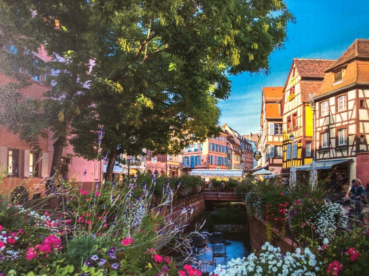 Gîte De Charme Colmar Buitenkant foto